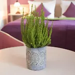 Malteser Komturei / Restaurant 3* Bergisch Gladbach