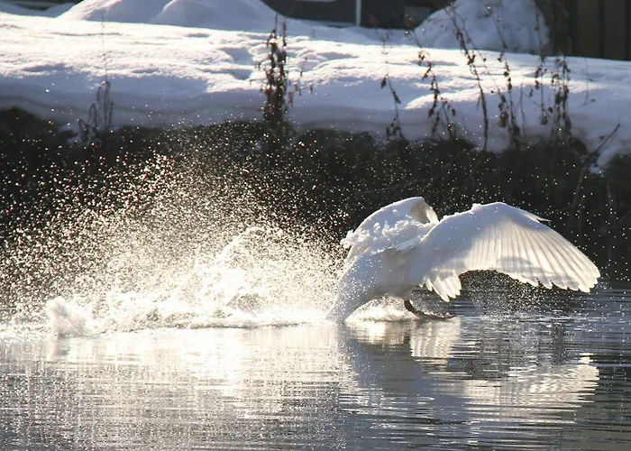 Malteser Komturei / Restaurant