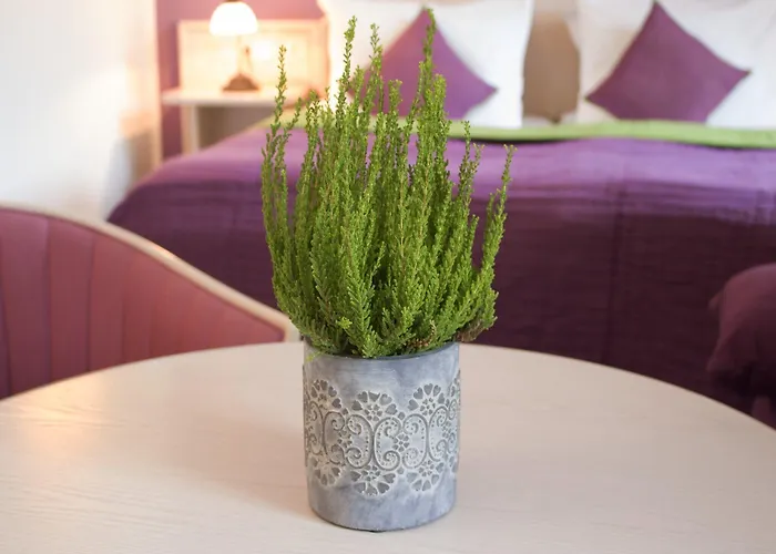 Malteser Komturei / Restaurant 3* برجيش جلادباخ